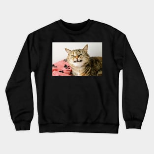 Cheezy Face Crewneck Sweatshirt